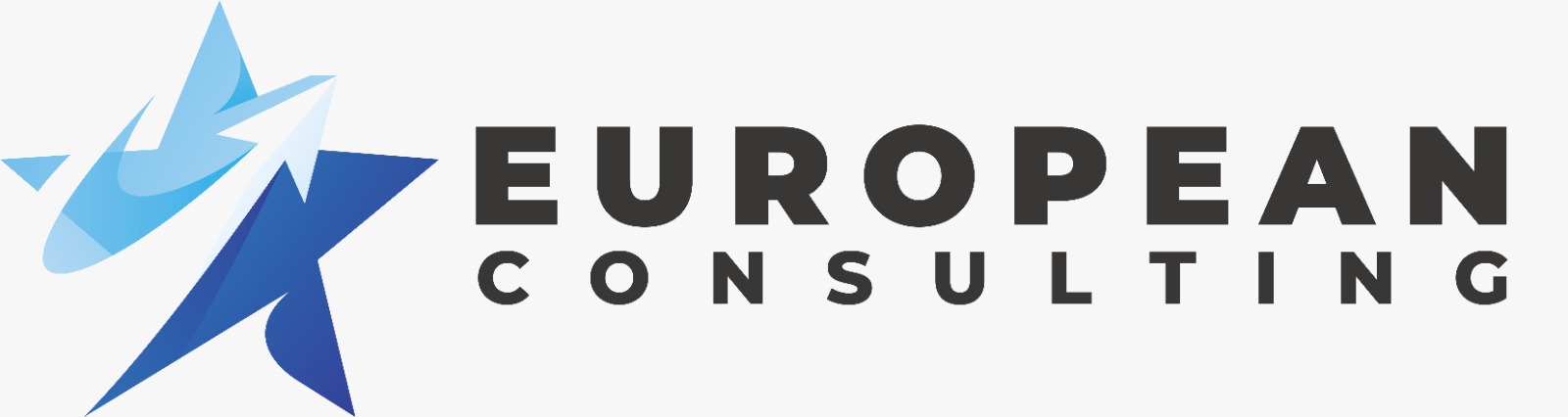 European Consulting